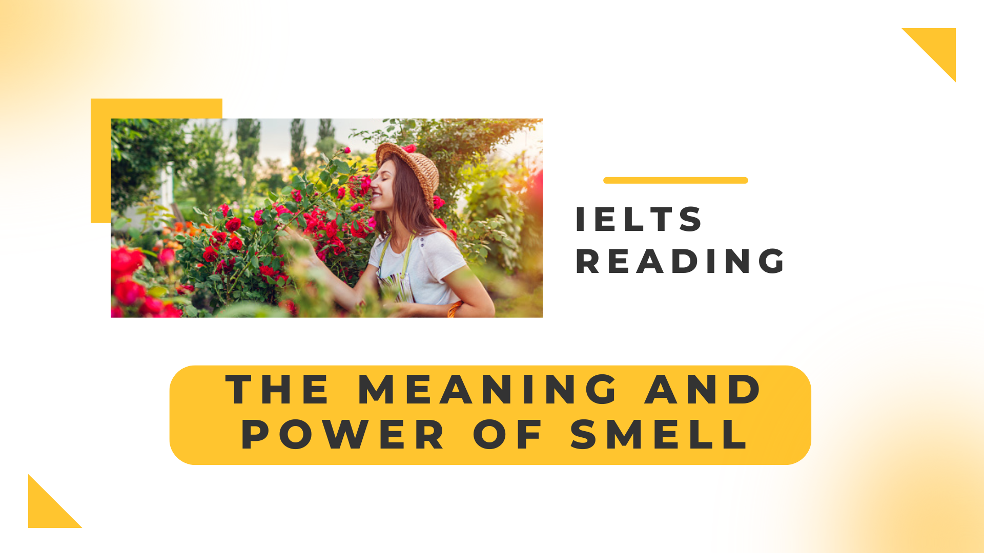 Từ Vựng Bài Đọc The meaning and power of smell CAMBRIDGE IELTS 8 – Test 2