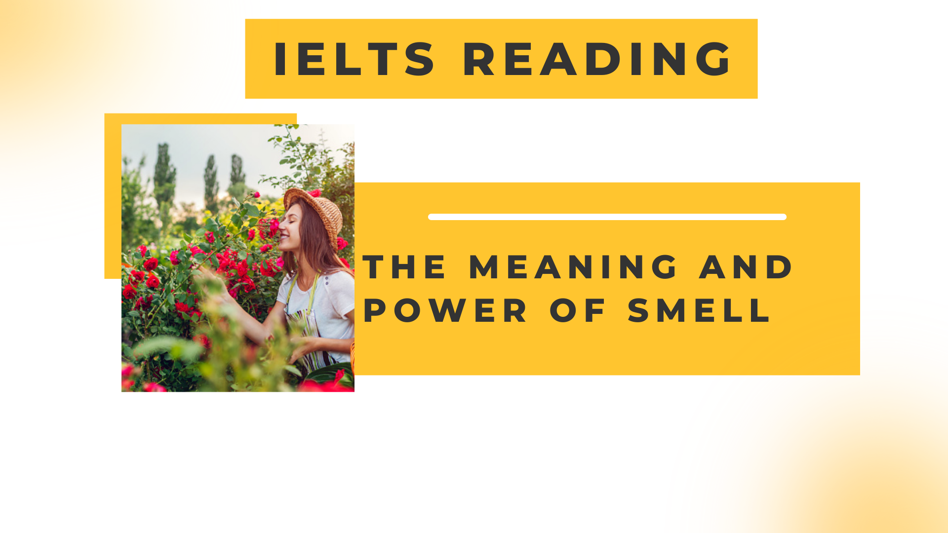 Từ Đồng Nghĩa Bài Đọc The meaning and power of smell CAMBRIDGE IELTS 8 – Test 2